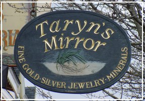 Taryn's Mirror